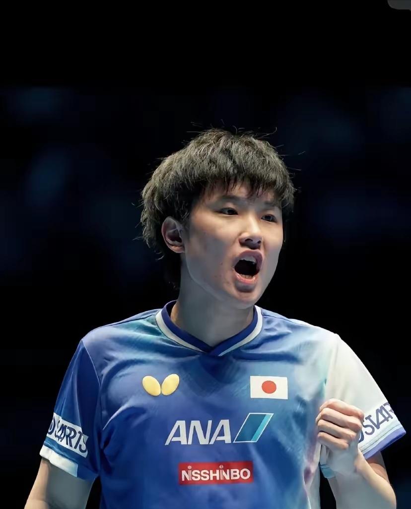 包含法国乒乓球队逆转比利时乒乓球队，张本智和制霸全场的词条