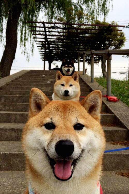 跨越球场的较量，西甲国家德比与独行侠的压制之道