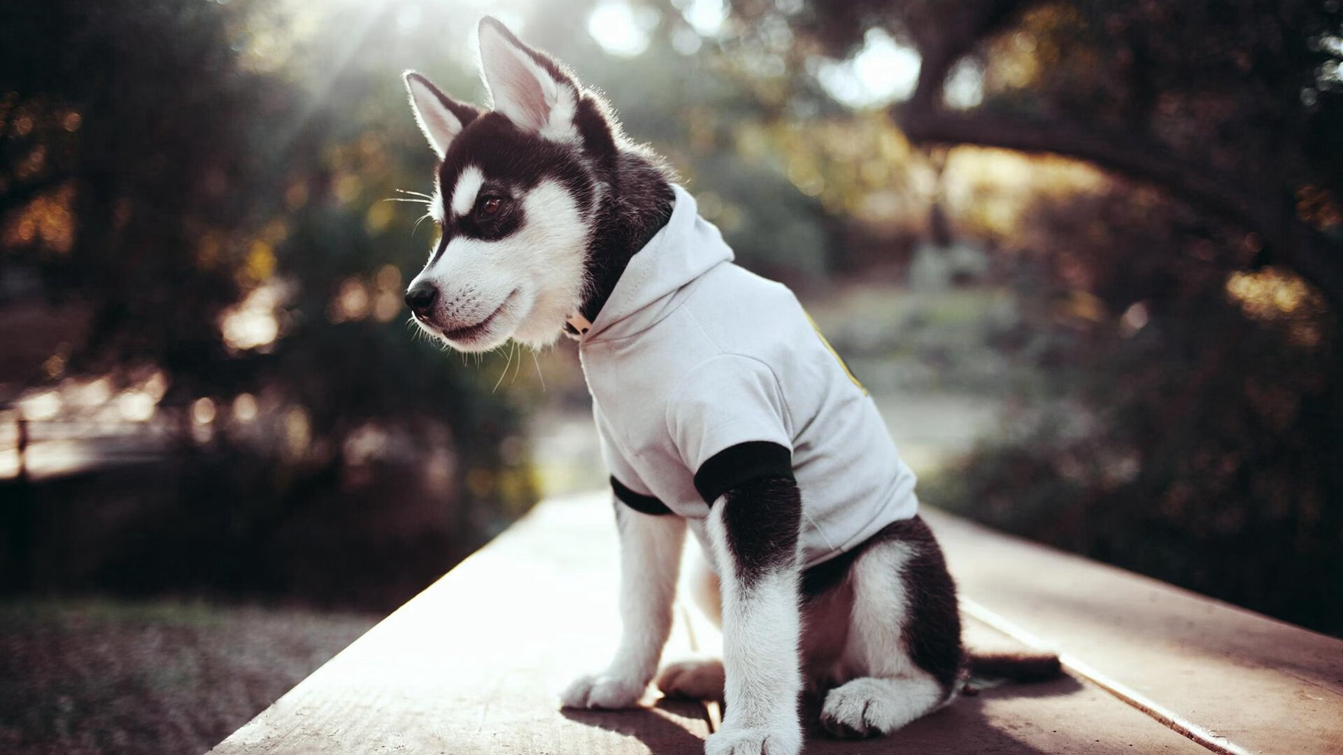 烈焰铸就英雄魂，米切尔关键先生定乾坤