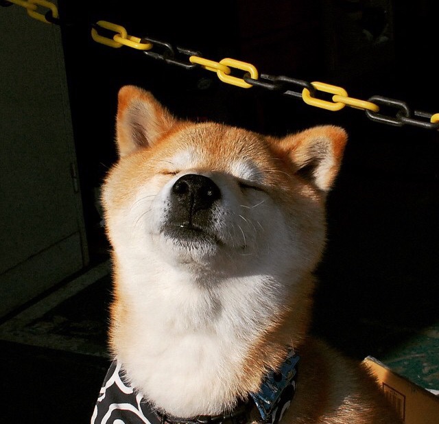 风暴之眼,当阿克一人撕裂阿根廷的夜晚