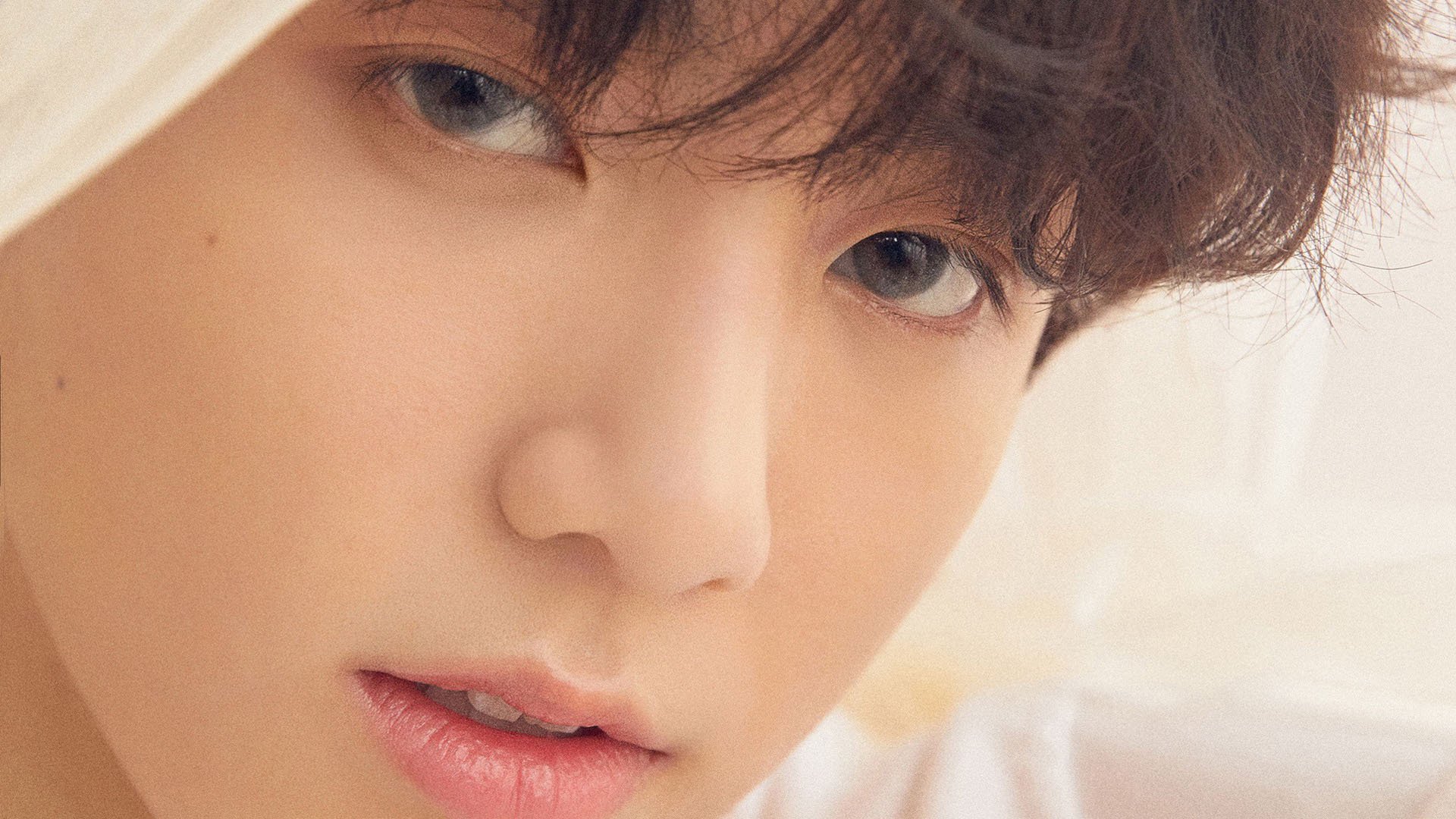 地缘防线VS绿茵铁闸,当伊朗的稳定输出遇见布雷默的不掉线哲学