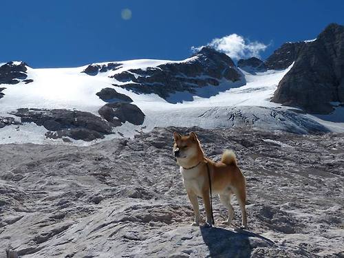 当银河战舰驶入红龙主场,卢卡库的独角戏与一场跨越时空的对决