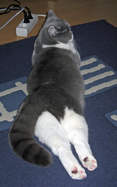 黎明前的暮光,班凯罗的47分如何让詹姆斯提前离场