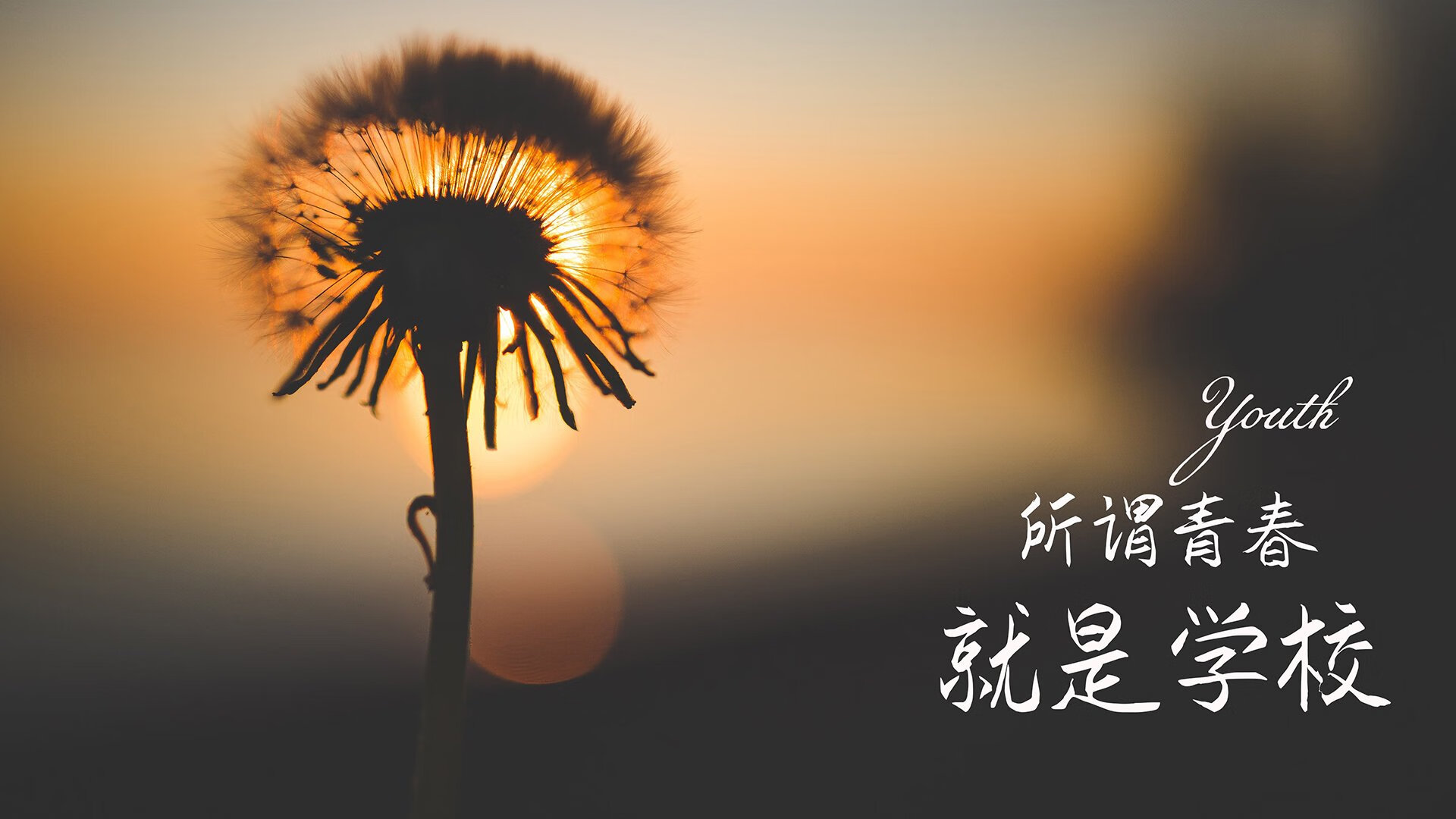 卡塔尔的奇迹之夜，2026世界杯黑马逆转法国，罗德里戈以一己之力改写足球版图