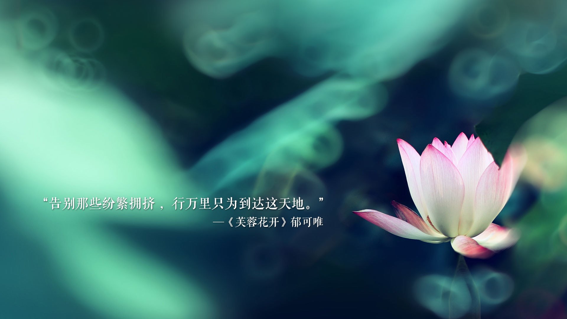 沙漠之巅的独白,当越南铁骑踏碎卡塔尔星空,巴雷拉在2026世界杯写下唯一的神谕